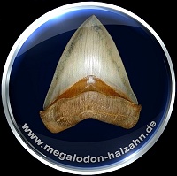 www.megalodon-haizahn.de - WELTKLASSE MEGs von Frank